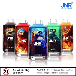 JNR Falcon 16000 Puffs kaufen | Dual Mesh Vape mit 850mAh Akku JNR Falcon 16000 Puffs kaufen | Dual Mesh Vape mit 850mAh Akku