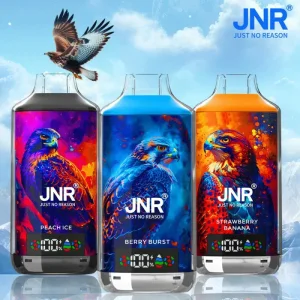 JNR Falcon X 18000 Puffs kaufen | Dual Mesh Vape mit Display JNR Falcon X 18000 Puffs kaufen | Dual Mesh Vape mit Display